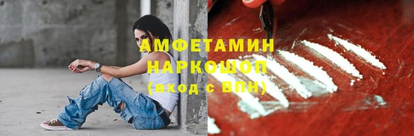 молекула духа Горняк
