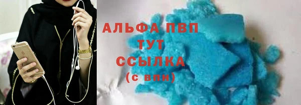 гидра Горнозаводск