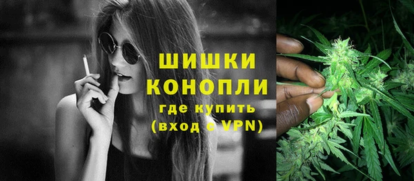 гидра Горнозаводск