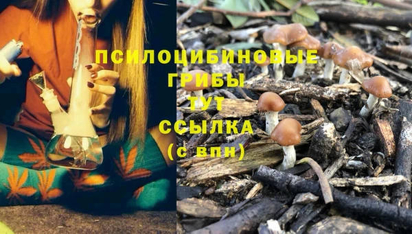 гидра Горнозаводск