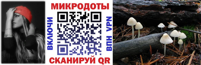 Галлюциногенные грибы ЛСД  Купить закладки  Оха 